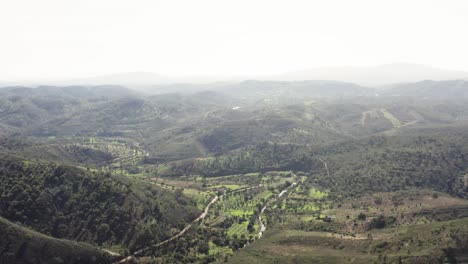 Drone-shot-of-sun-drenched-hilly-landscape-with-plantations,-fields-and-trees