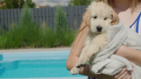 the child holds a wet puppy in his hands, the dog is wrapped in a towel. puppy after bath