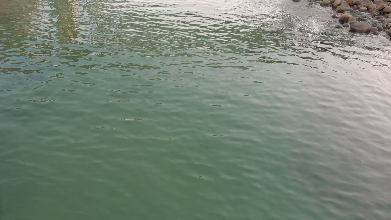 바위 가 있는 바다 해안 의 아름다운 풍경 의 비디오