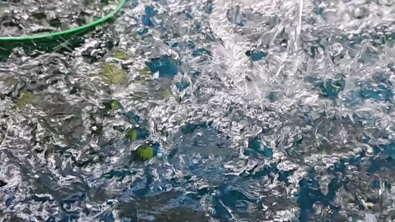 Heavy monsoon rain splashing into a full bucket of water under a corrugated roof in rural Surigao del Norte, Mindanao, Philippines.