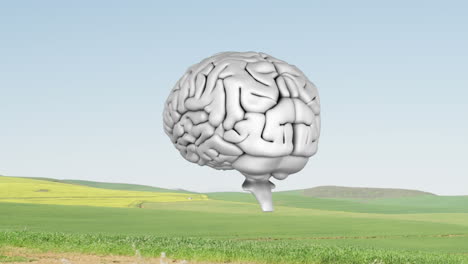 icono del cerebro humano girando contra el paisaje con hierba y cielo azul