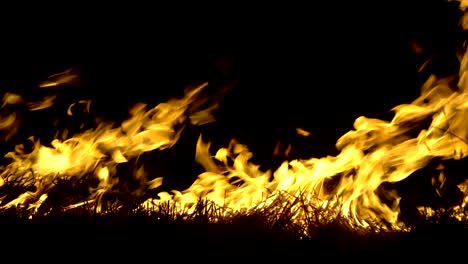 the fire burns rice straw and hay in the field at night.