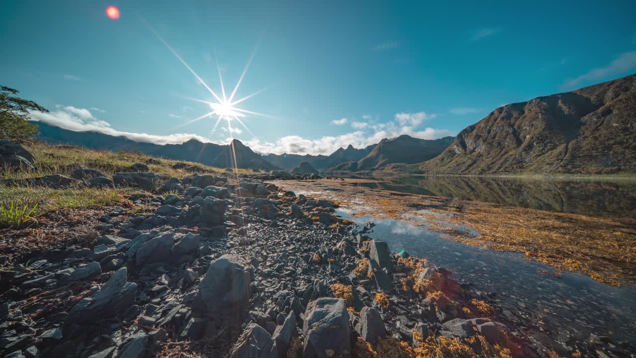 저류에 노출된 바위 바닥은 해조류와 해조류로 여 있습니다.