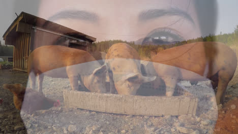 woman wearing face mask against pigs eating in a farm