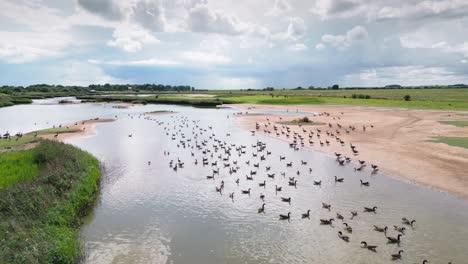 imágenes de video aéreas capturan las marismas de agua salada a lo largo de la costa de lincolnshire, con aves marinas en vuelo y en las lagunas y lagos interiores