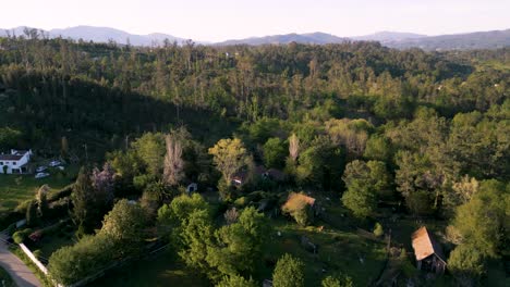 panoramic view of a countryside with lush nature landscape in salvaterra, verona italy