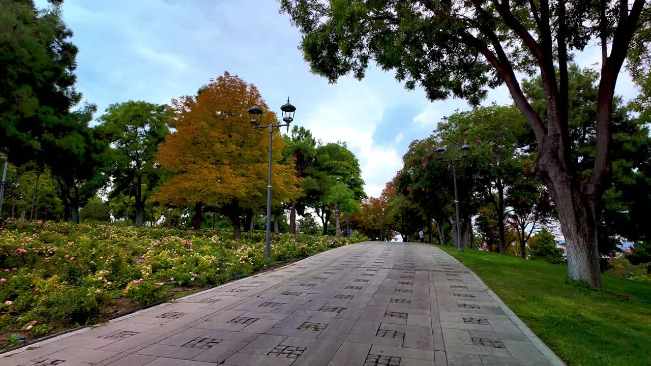 Scenic Pathway in a Park