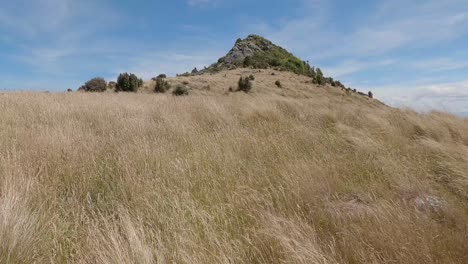 Walking-through-golden-grass-towards-rocky-peak-on-a-windy-summer's-day---Gibraltar-Rock,-Canterbury