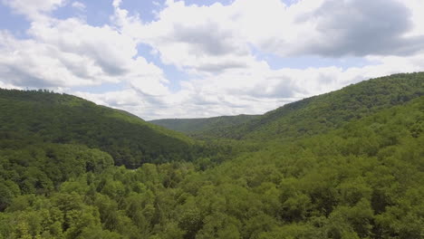 drone shot of lyman run state park in pennsylvania, rising and tilting downward