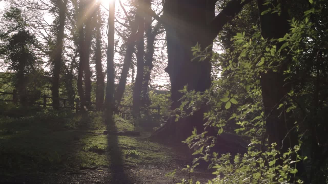 Scena rurale nella campagna inglese con stelle solari e riprese panoramiche ampie