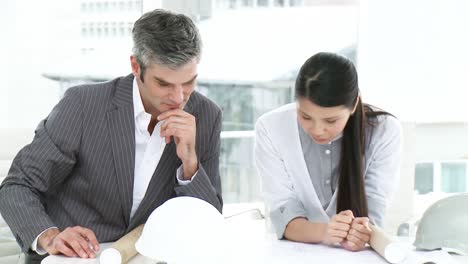 arquitectos positivos hablando juntos