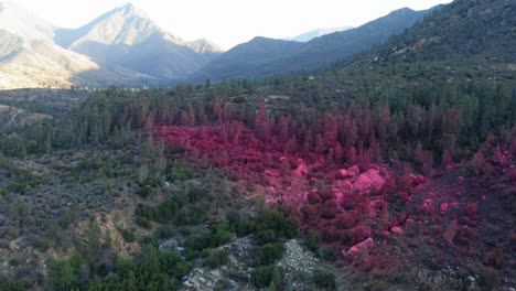 Red-fire-retardant-chemicals-dropped-over-California-forest,-wildfire-prevention
