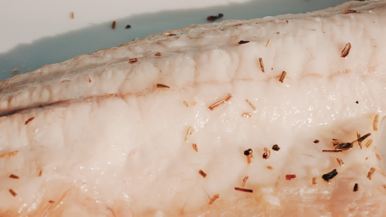 Close up of a freshly grilled white fish fillet seasoned with herbs