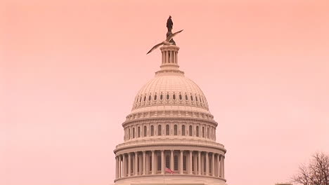 La-Cúpula-Del-Edificio-Del-Capitolio-En-Washington-Dc-3