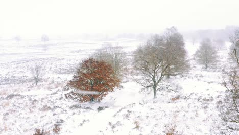 Vasto-Campo-De-Tierras-De-Cultivo-Durante-El-Día-De-Fuertes-Nevadas-En-Invierno