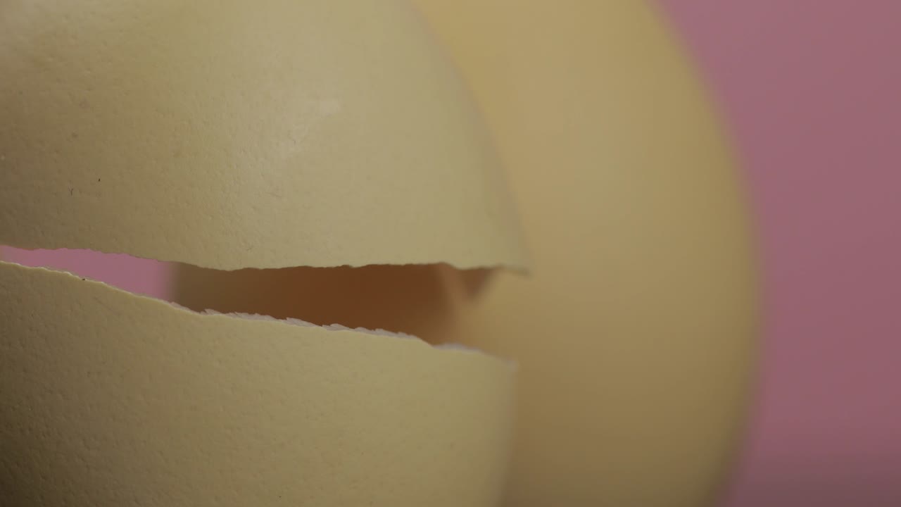 어나오는 달, 질이 분홍색 배경에서 갈라지는 것, 희망이 나오는 개념