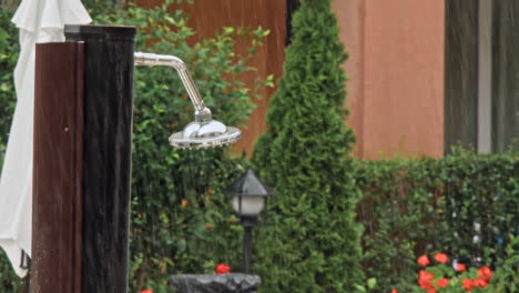 garden flowers in rain
