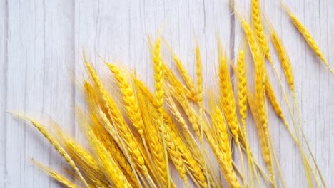 orejas de trigo amarillas sobre un fondo de madera blanca