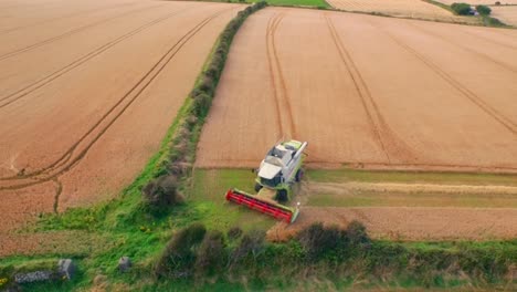 Drone-footage-of-golden-fields-and-combine-harvester