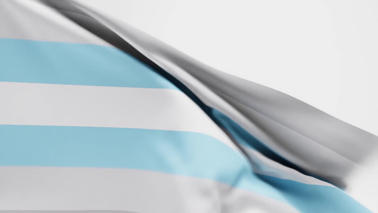 데미보이 프라이드  ⁇ 발이  ⁇  배경에 날아다니고 있습니다.