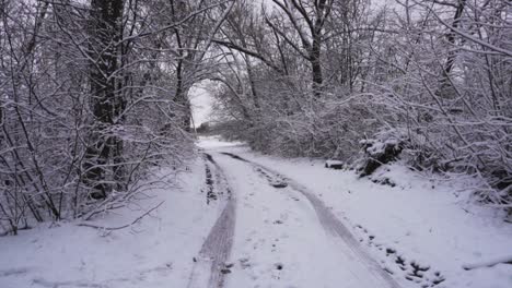 View-of-the-beautiful-trees-covered-with-snow-on-winter-morning