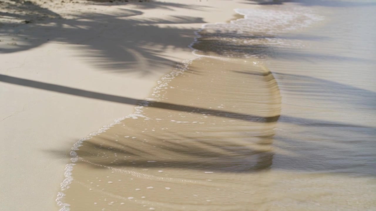Onda che avanza spingendo la sabbia sulla spiaggia, ombre di palme e lunga ombra che si spostano con il cambiamento della luce solare.