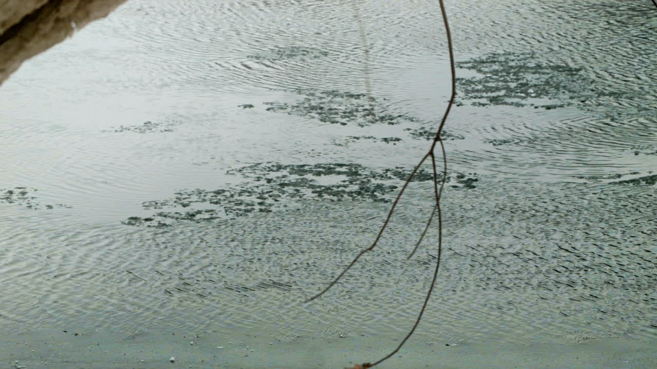 River with Ice Floating on Surface and Tree in Foreground TILT DOWN