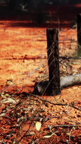 close up of a rustic wooden fence post in the outback