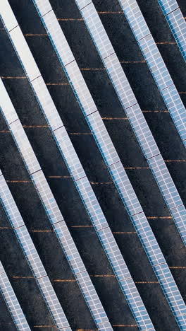 rows of photovoltaic solar panels in a field at a solar power plant. ecological production of electricity. top view shot by drone. vertical video