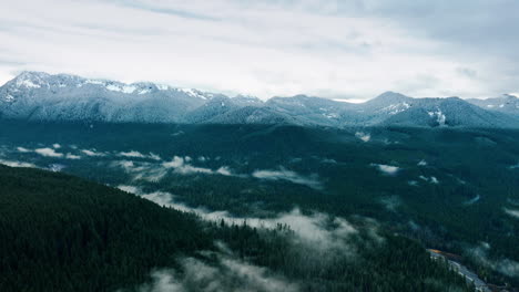 amazing scenic view of evergreen forests in the mount rainer national park, washington state, the usa. sunlit mountains at backdrop. top view.