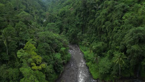 dżungla z ukrytą rzeką w głębi bali, indonezja