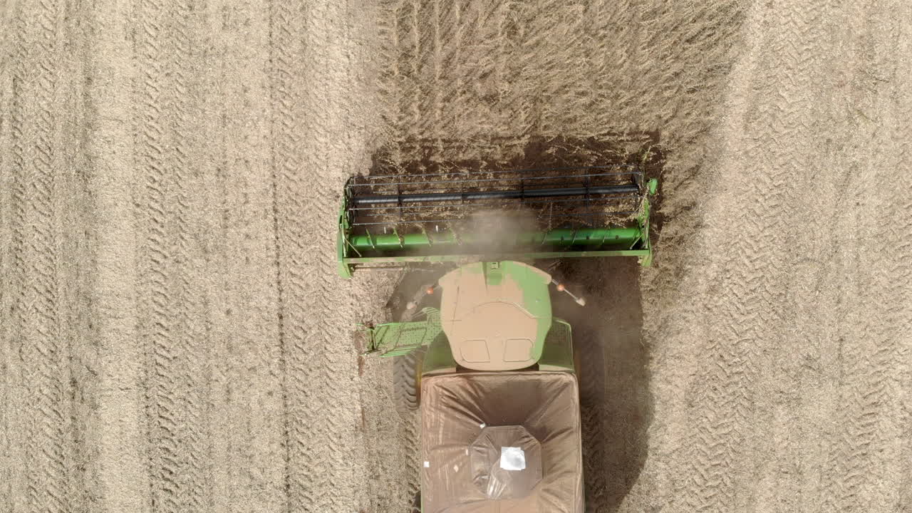 tractor agrícola cosechando soja en el campo