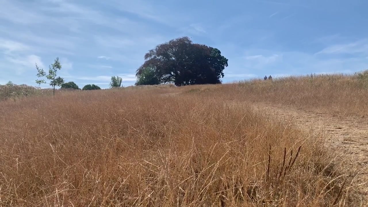 Estate del 2026, due persone che camminano su per la collina in lontananza mentre l'erba secca e gialla si estende per l'intero paesaggio.