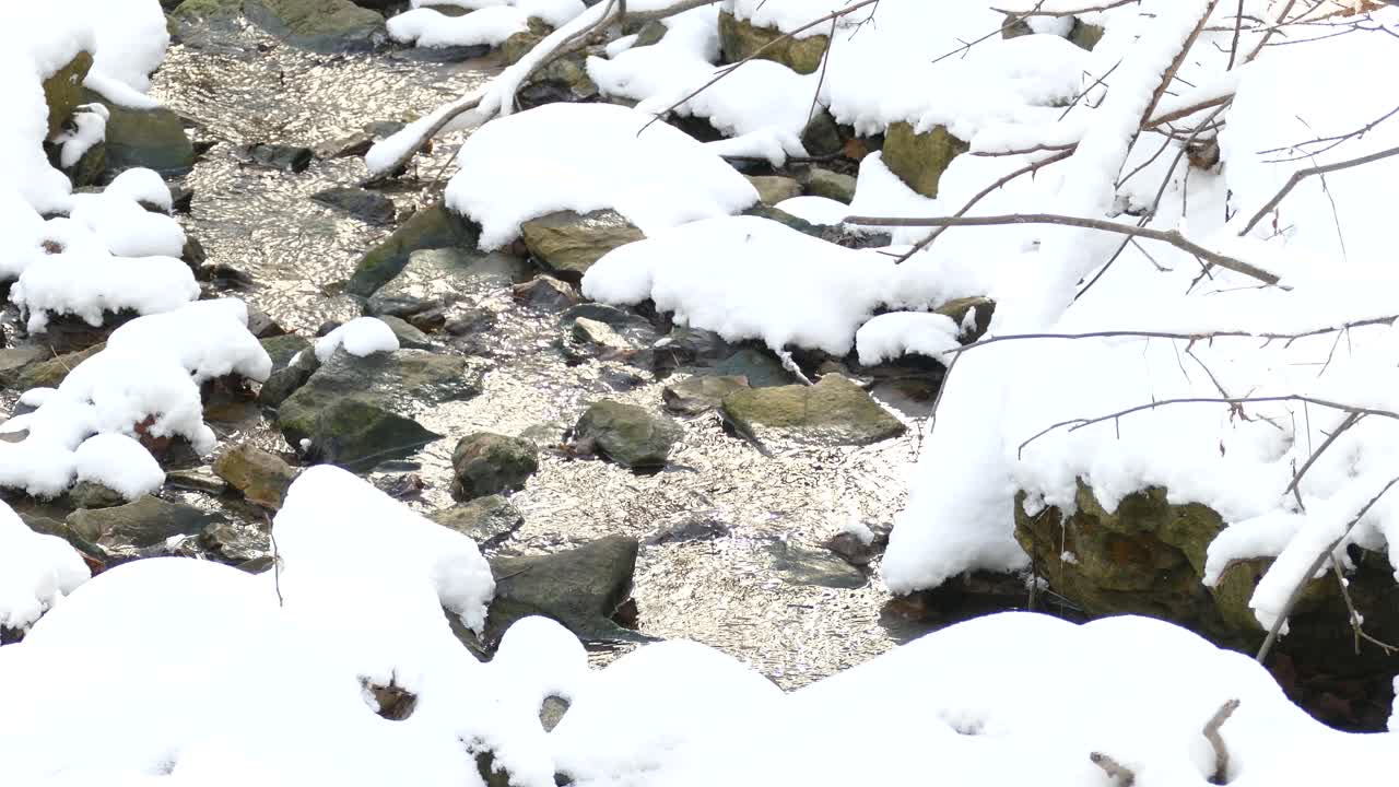 바위 아래로 흐르는 눈 덮인 계류, 패닝 샷, 겨울 풍경