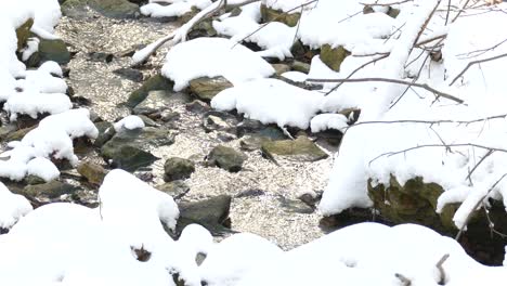 arroyo de montaña cubierto de nieve que fluye por las rocas, toma panorámica, paisaje invernal