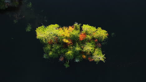 top down aerial view of small lake island with forest in autumn foliage colors