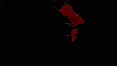 salpicaduras de sangre con fondo alfa 13