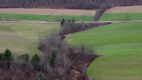 Traveling-over-the-tops-of-the-trees-of-the-forest-in-the-winter-season-aerial-view