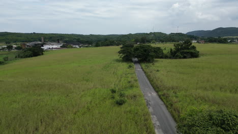 a small, winding road in the rural jungle of jamaica