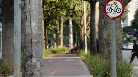 Pedestrians-crossing-the-bike-lane-in-the-center-of-a-busy-street-of-a-big-city