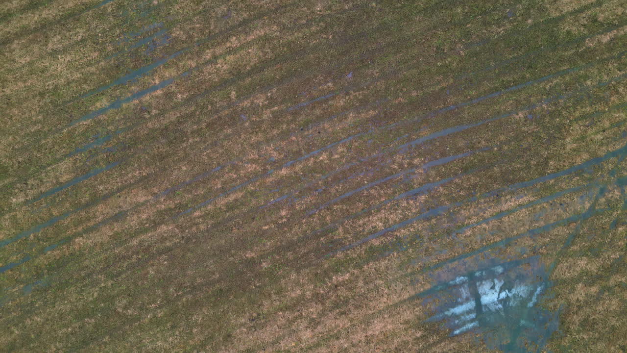 hierba corta de suelo congelado aéreo, señales de neumáticos de automóviles marcas vista hacia abajo