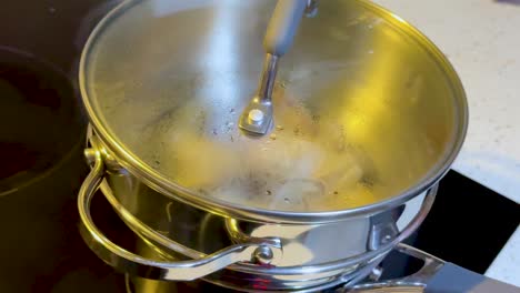 boiling water in a covered pot