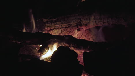 Hoguera-Toda-La-Noche-En-Un-Bosque,-Tiro-De-Cerca-4k