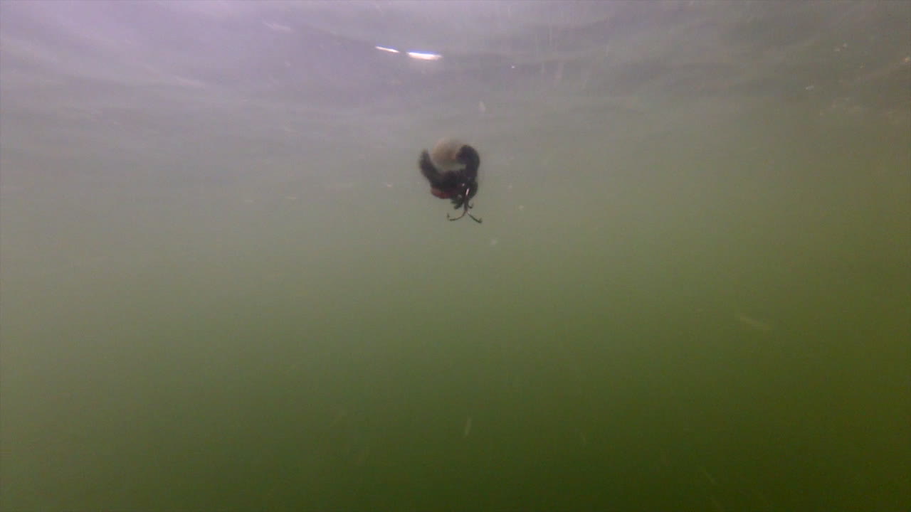 스피너가 있는 릴링된 블랙 루어의 빈 수중 샷 - 중간 슬로모 샷