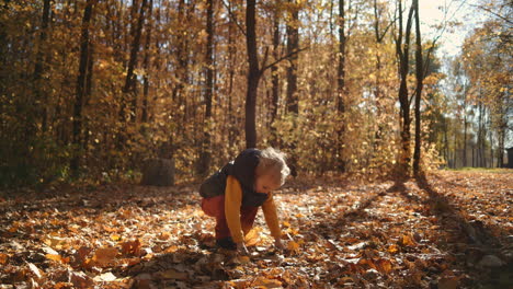 little boy throw autumn leaves in autumn park in slow motion. medium shot of child playing outdoors. high quality 4k footage