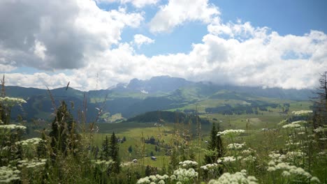 Toma-Estática-De-Un-Entorno-Natural-De-Valle-Verde,-Cielos-De-Montañas-De-Hierba-Con-Flores,-Val-Gardena