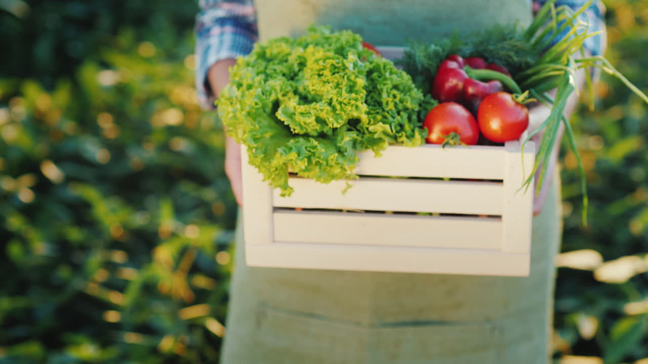 제철 야채가 든 나무 상자를 손에 들고