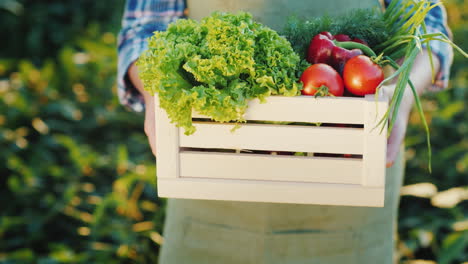 Manos-Sosteniendo-Una-Caja-De-Madera-Con-Verduras-De-Temporada