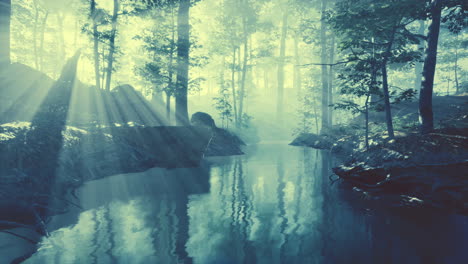 early morning white dense fog covering the pond