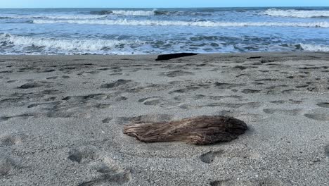 Una-Playa-Serena-Con-Olas-Y-Madera-Flotante